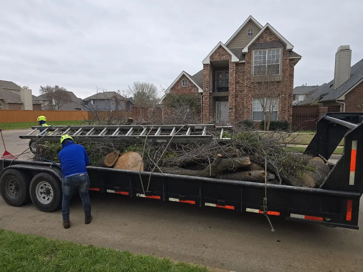 Expert Tree Fertilization with proper safety equipment in Burgaw